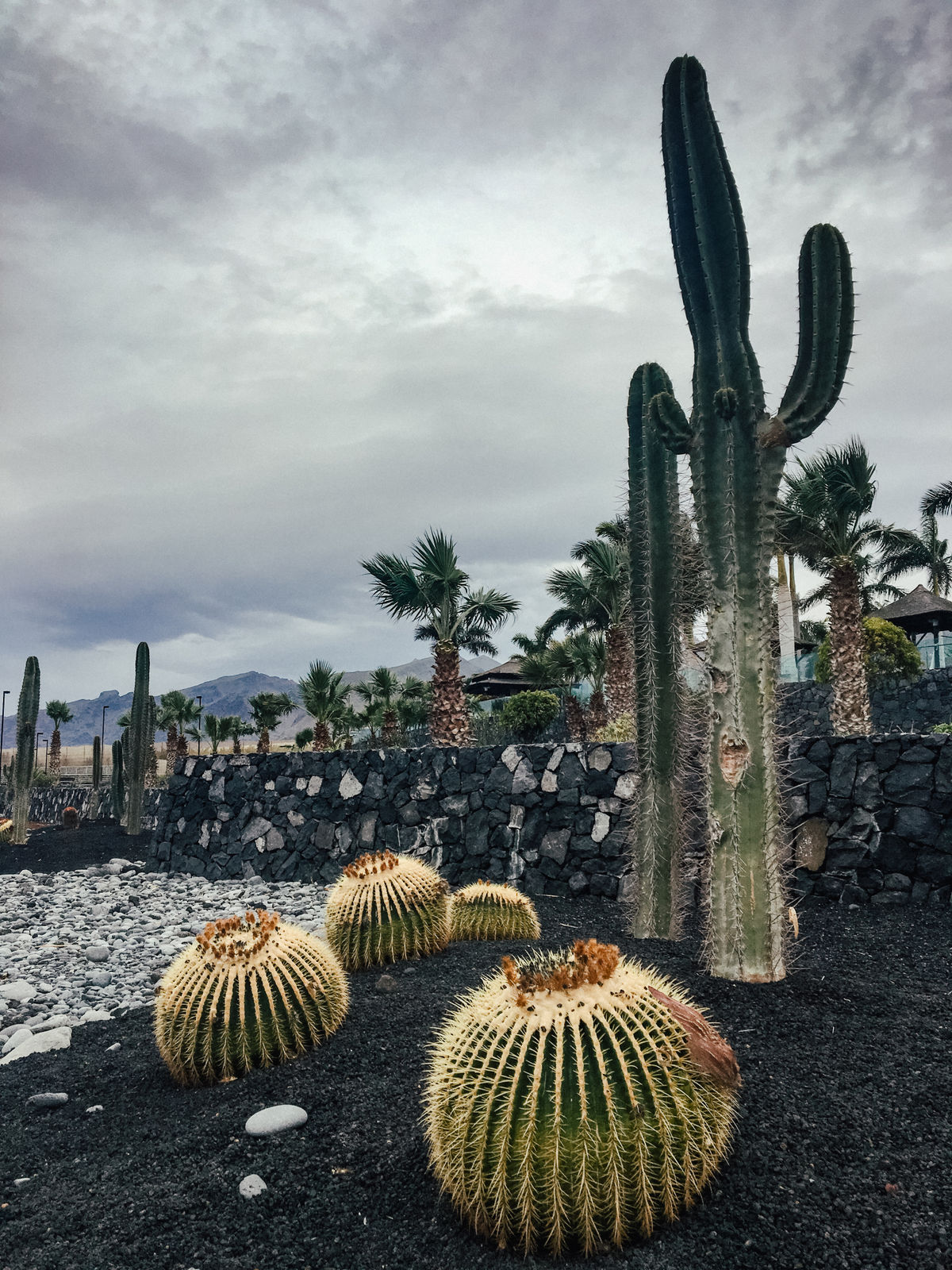 16 - T&A_Teneriffa-9746