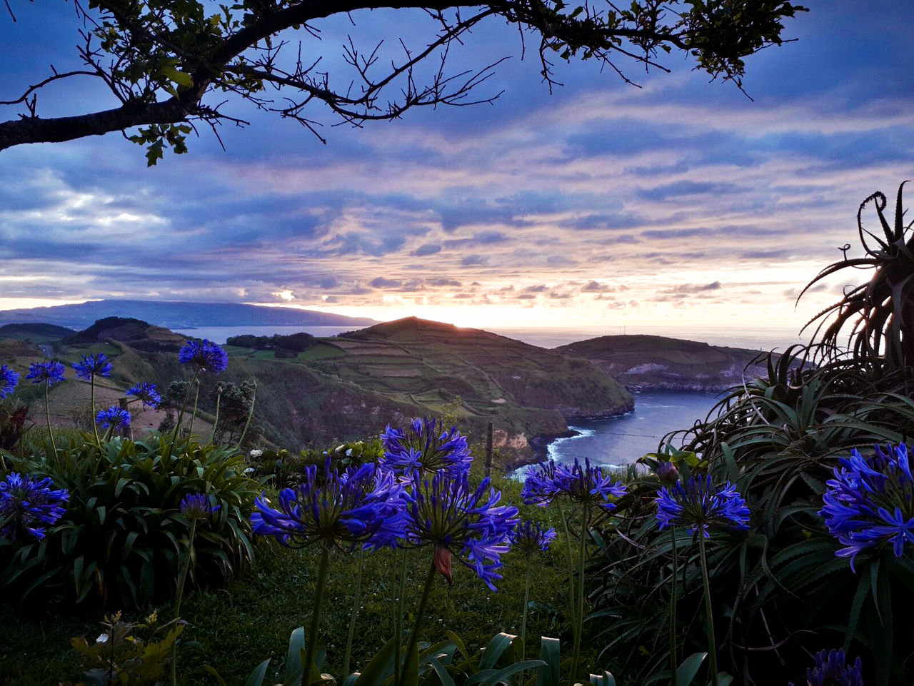 31 - T&A_Azoren-3053